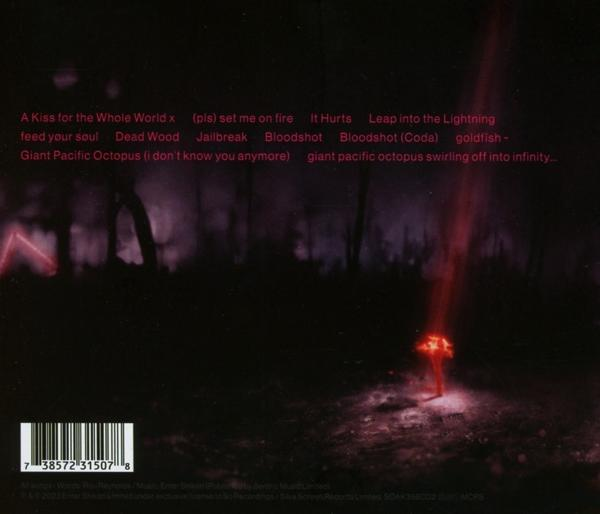 CD-Rückseite mit Songtiteln und Bandnamen. Ein rotes Licht scheint auf einen Wald.