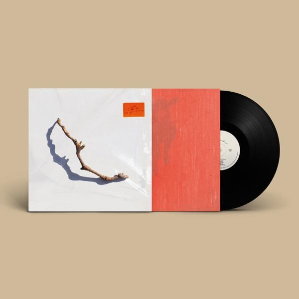 PJ Harvey - I The Old Inside (Vinyl) Year Dying 
