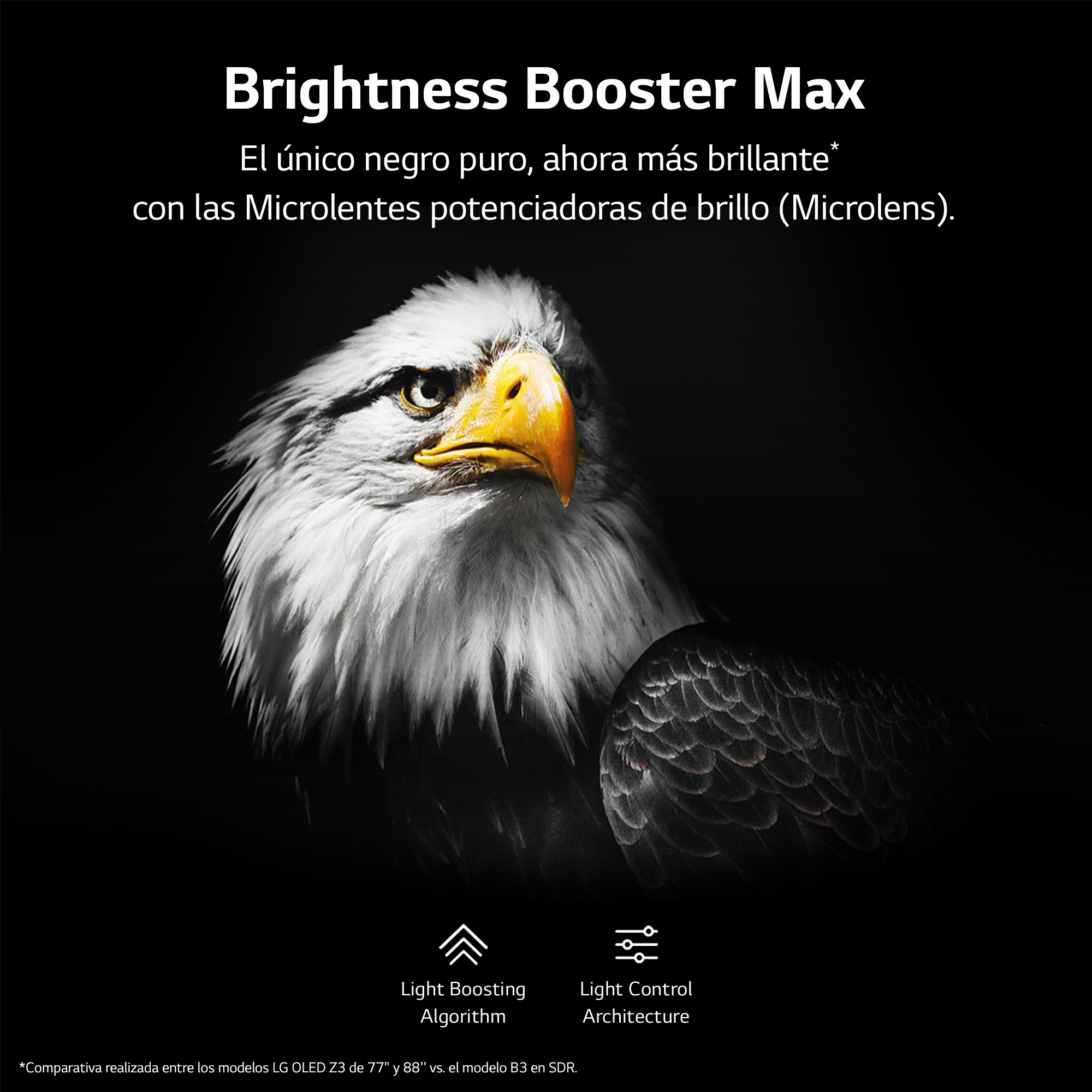 Águila calva con texto sobre brillo y control de luz. Fondo negro.
