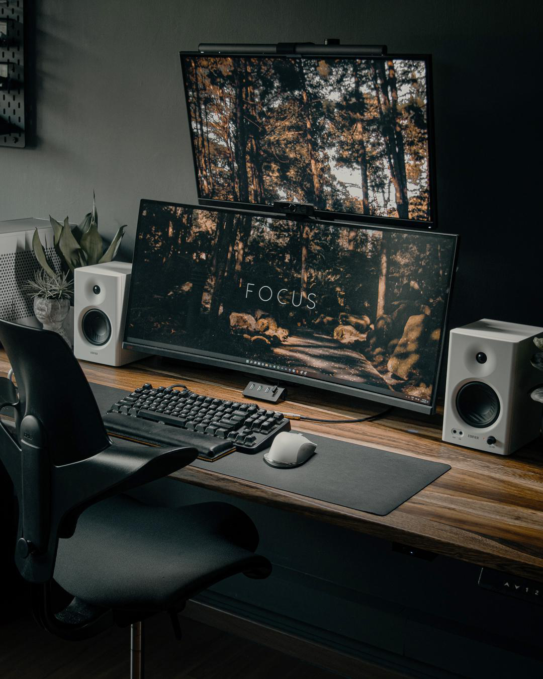 Modernes Büro mit zwei Monitoren, Lautsprechern, Tastatur und Pflanzen. Dunkler Holzschreibtisch.