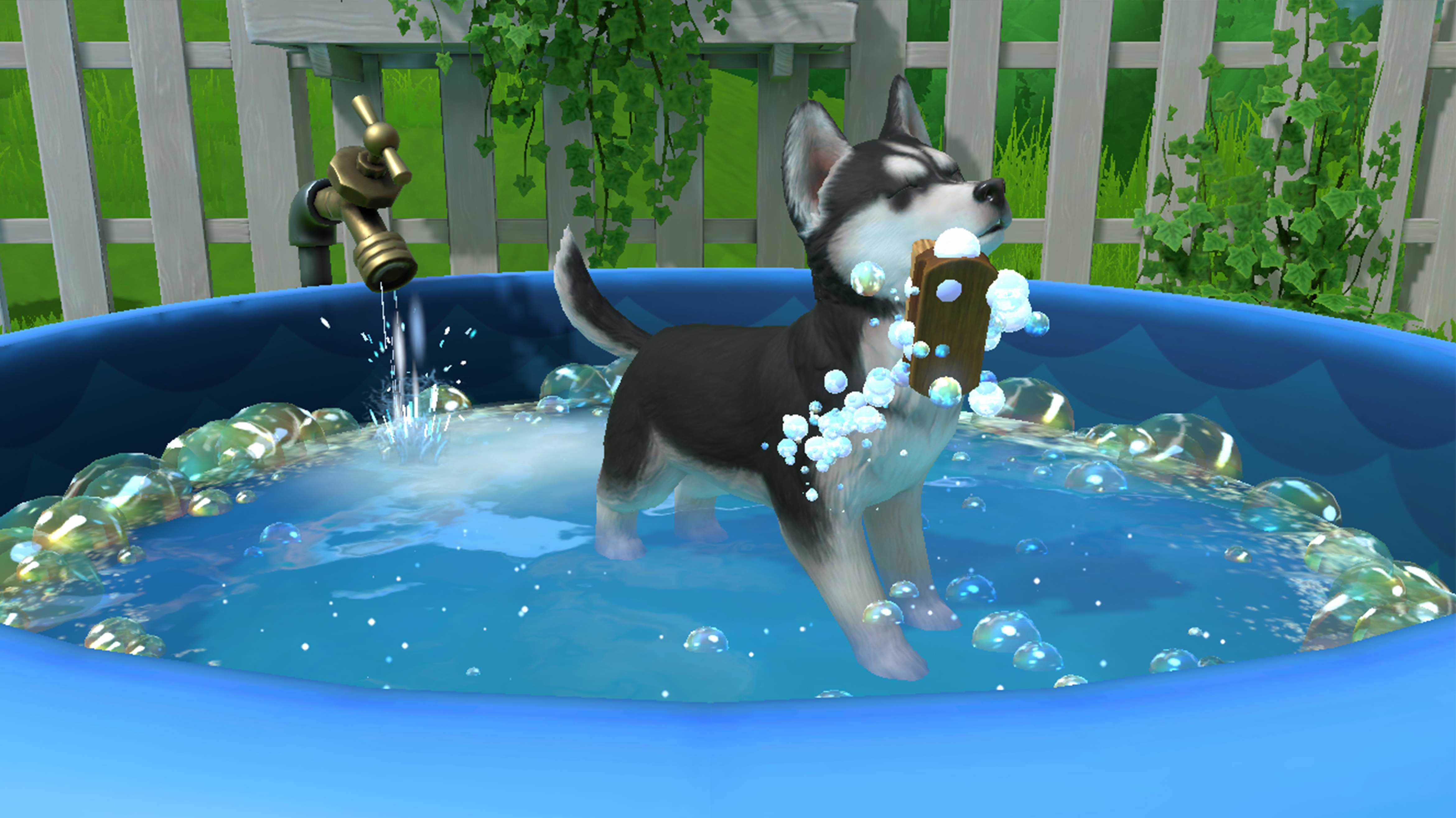Cucciolo in piscina blu con acqua dal rubinetto.
