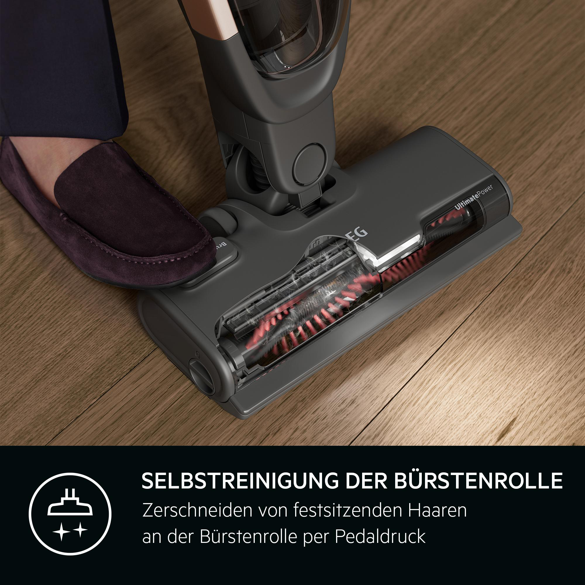 Staubsaugerkopf mit rotierender Bürste sichtbar. Text: 'Selbstreinigung der Bürstenrolle'.