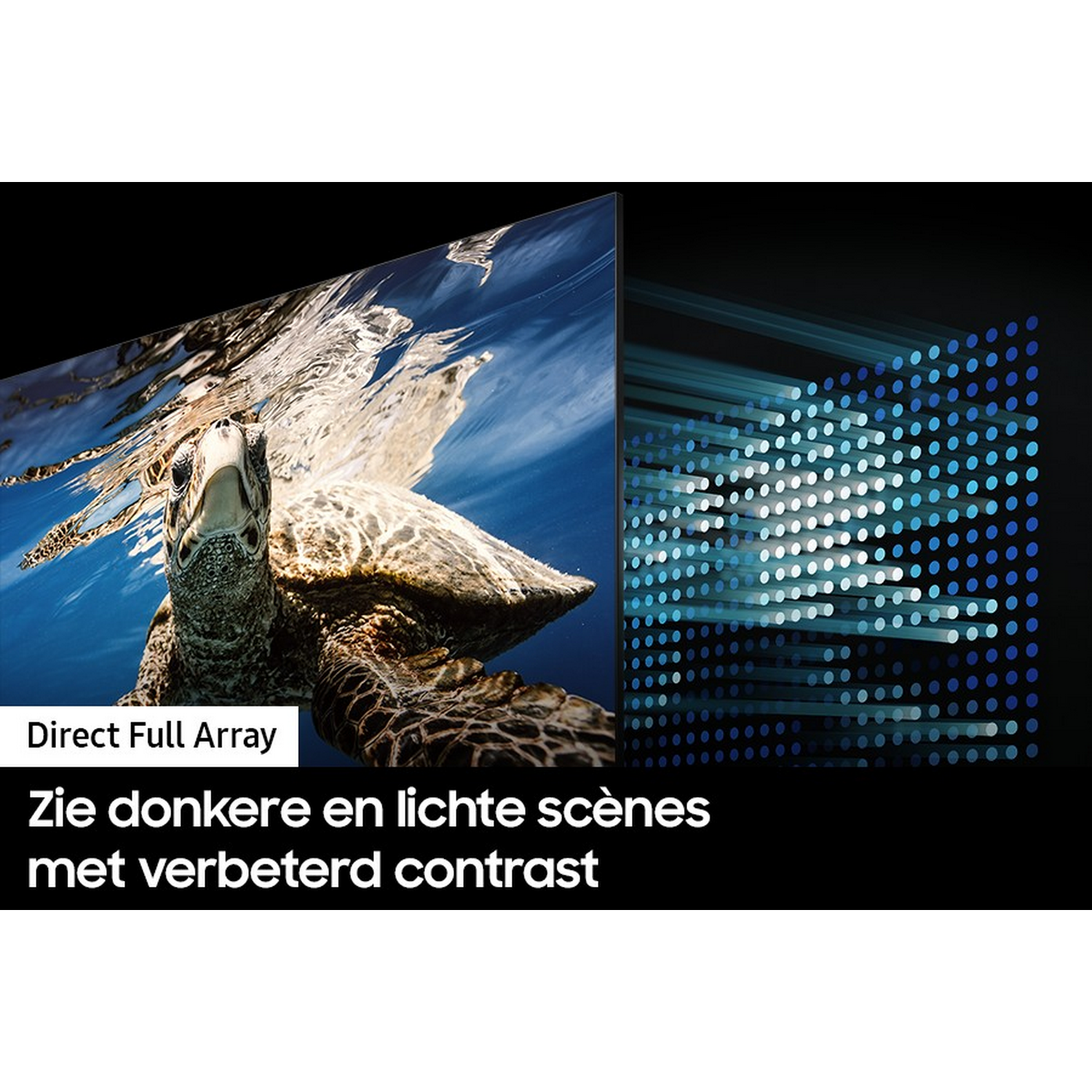 Zeeschildpad onder water, met tekst over contrast.