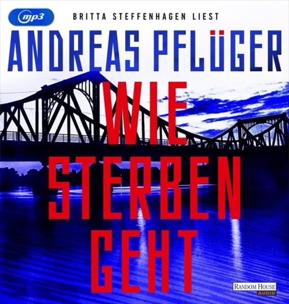 Andreas Pflüger - - geht sterben Wie (MP3-CD)