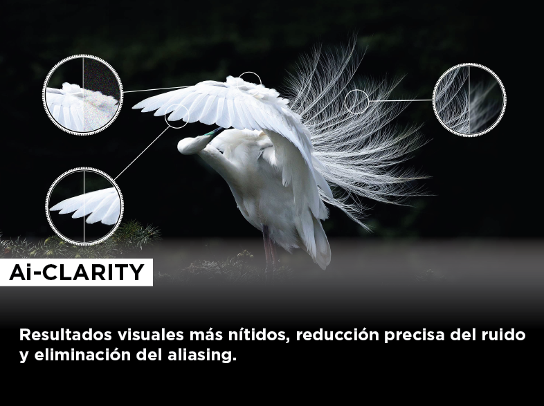 Un ave blanca con plumas de alas detalladas, con vistas ampliadas y texto sobre AI-Clarity.