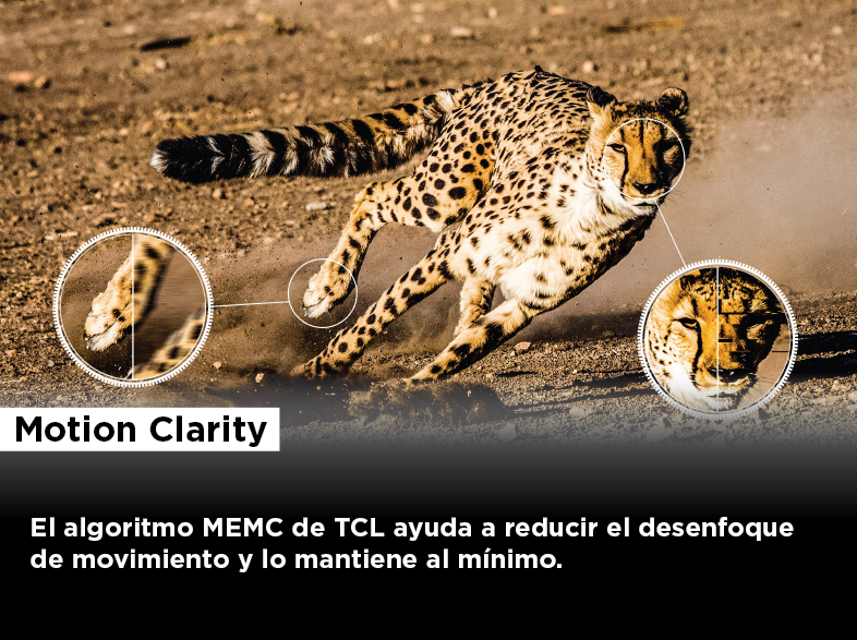 Un guepardo corriendo en un camino de tierra, con texto sobre la claridad de movimiento y su algoritmo.