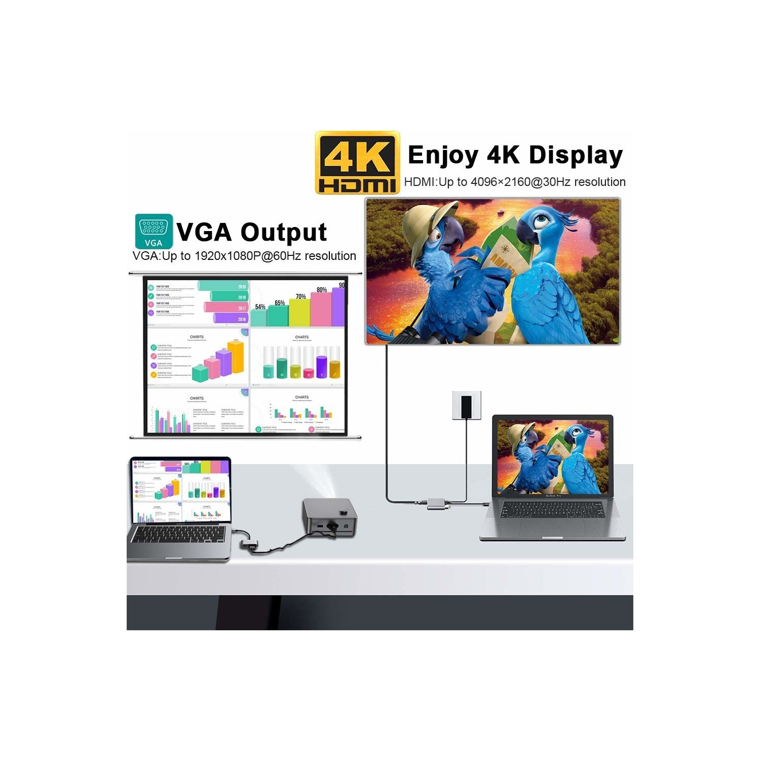 VGA ve HDMI çıkışlarını gösteren diyagram. Grafikleri olan iki dizüstü bilgisayar ve bir film ekranı.