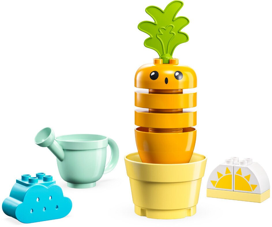 Kolorowa zabawka marchewka z doniczką, konewką i chmurą. Białe tło.