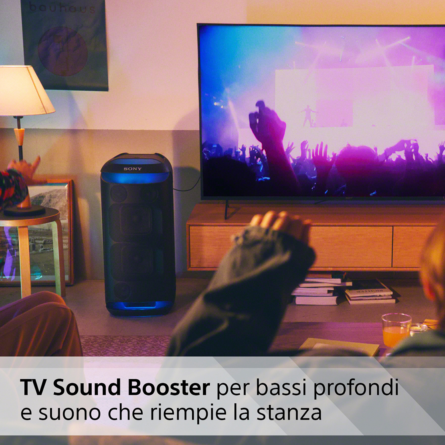 TV che mostra una folla a un concerto con un altoparlante in primo piano.