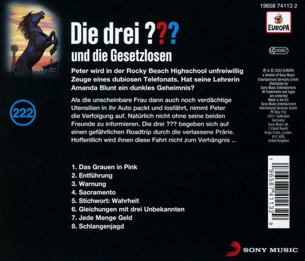 Rückseite eines Buches mit Text über ein Rätsel und einer Pferdeillustration.