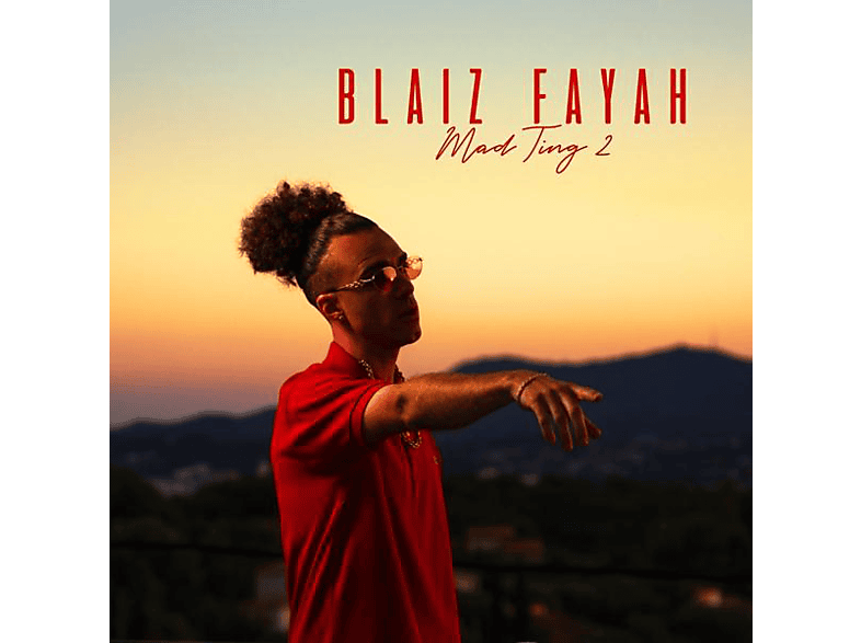Blaiz Fayah (Vinyl) - Ting Mad 2 