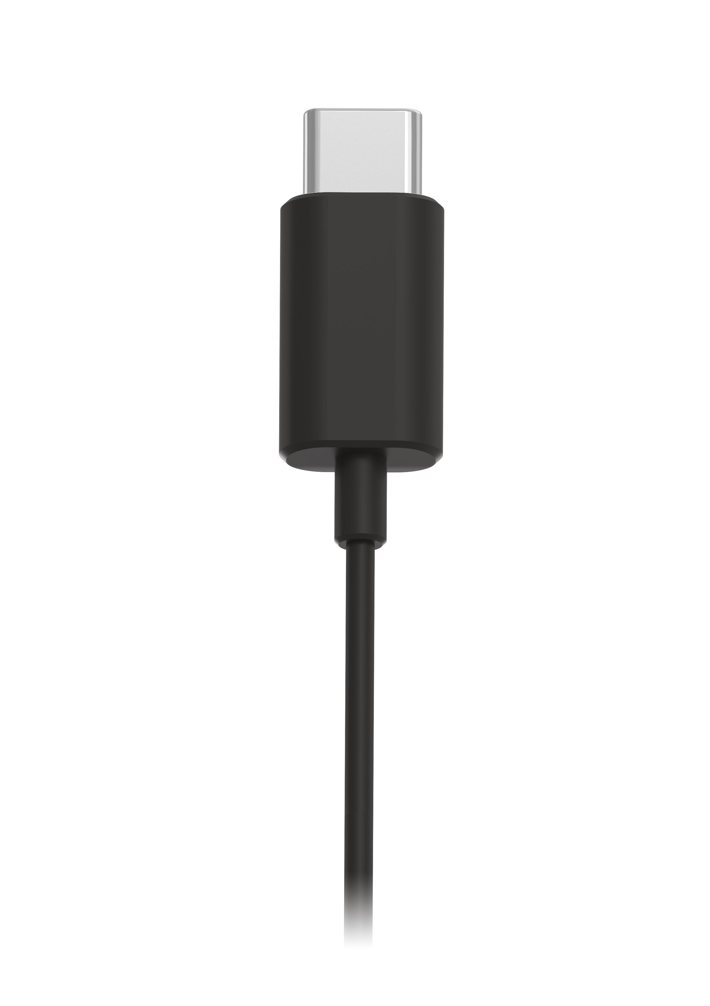 Ein schwarzes USB-C-Kabel mit einem silbernen Stecker oben und einem schwarzen Gehäuse.