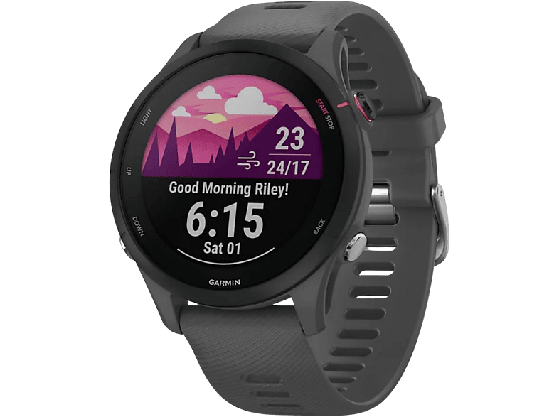 Garmin Smartwatch Forerunner 255 46 Mm Slate Grey (010-02641-10)