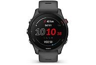 GARMIN Smartwatch Forerunner 255 46 mm Slate Grey (010-02641-10)