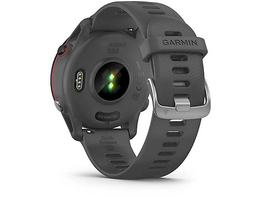 GARMIN Smartwatch Forerunner 255 46 mm Slate Grey (010-02641-10)