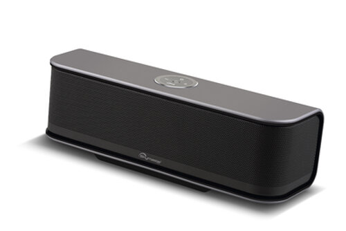 Głośnik przenośny SKYMASTER BT10-20W