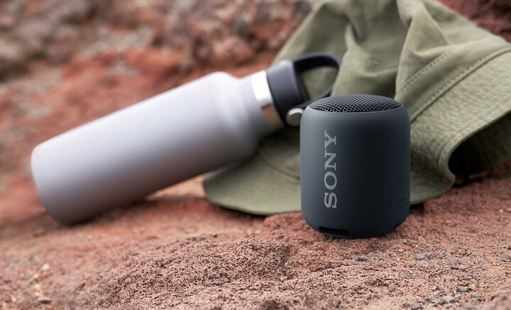 Głośnik Bluetooth SONY SRS-XB12H Szary