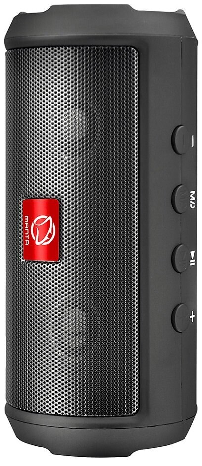 Czarny i szary głośnik przenośny z przyciskami i logo.