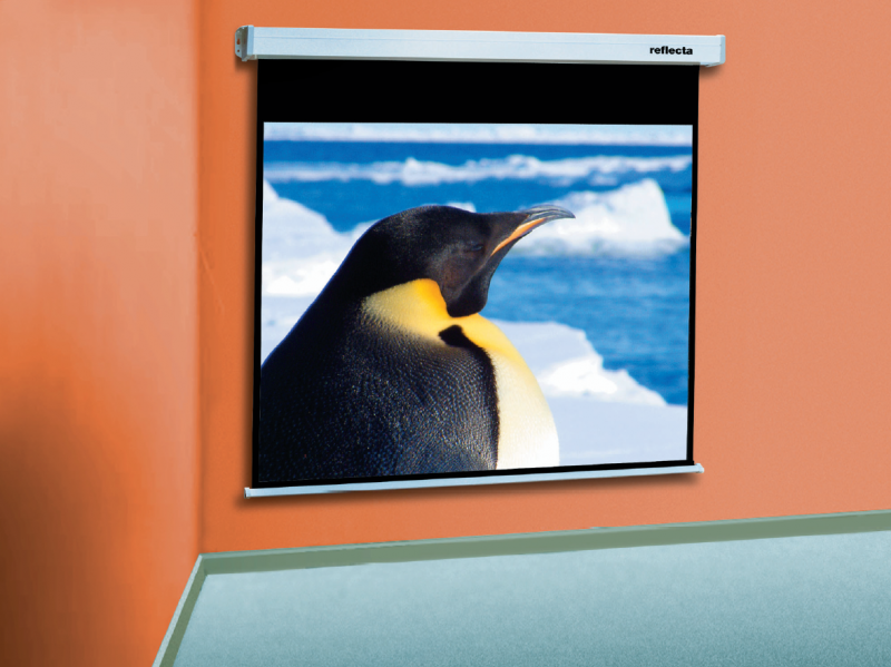 Een pinguïnafbeelding weergegeven op een projectiescherm, gemonteerd op een oranje muur.