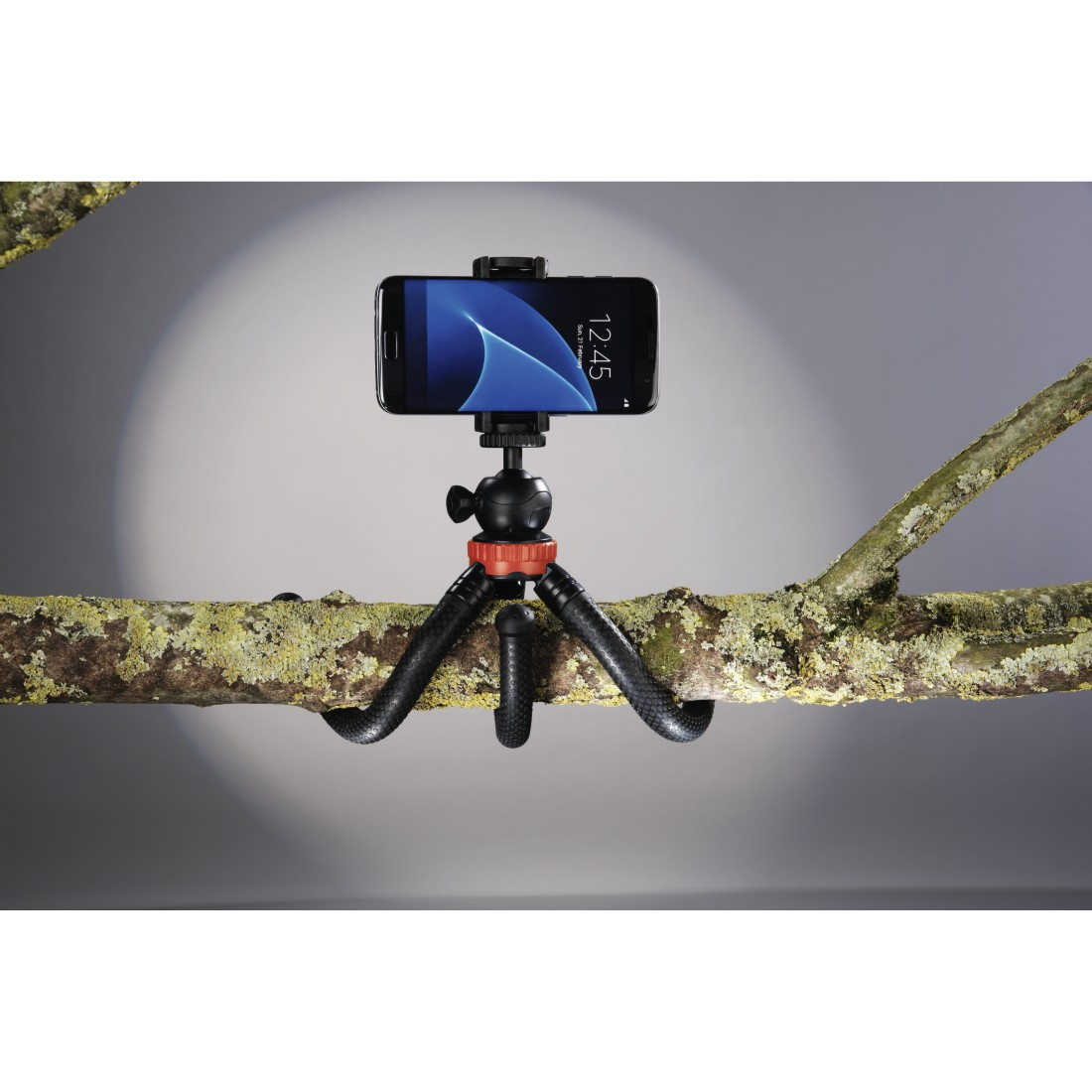 Ein schwarzes Smartphone ist auf einem flexiblen Stativ an einem Ast mit Moos befestigt.
