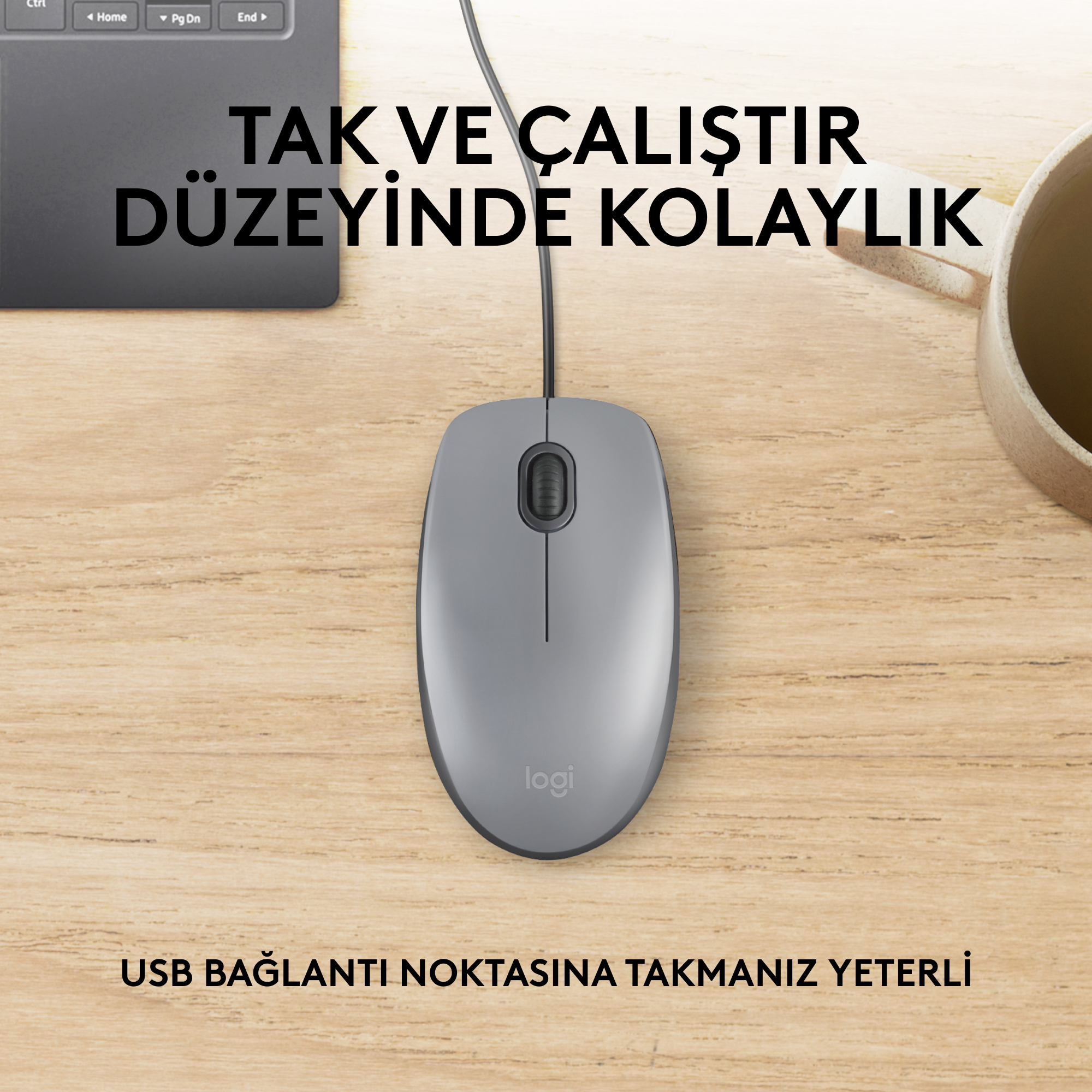 Kablolu gri fare, ahşap masada, metin katmanıyla.