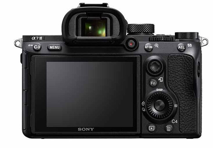 Tył czarnego aparatu Sony z przyciskami i ekranem.