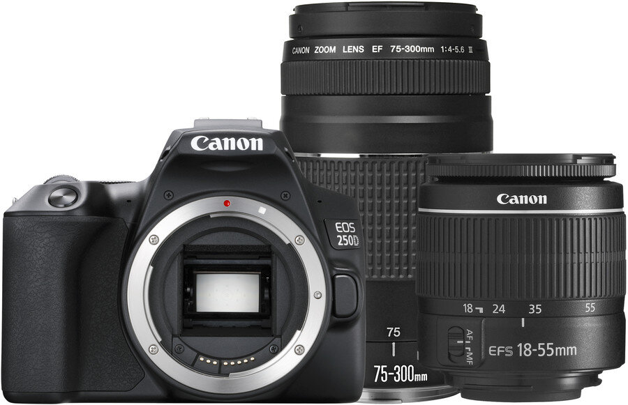 Aparat Canon z dwoma obiektywami. Lustrzanka z zoomem i mniejszym obiektywem.