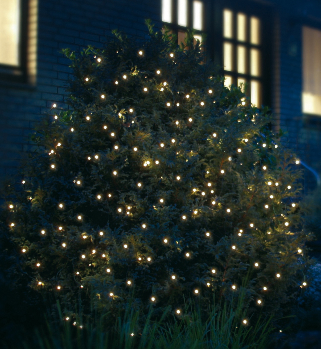 FHS Lichternetz Weihnachtsbeleuchtung, Grün, Warmweiß