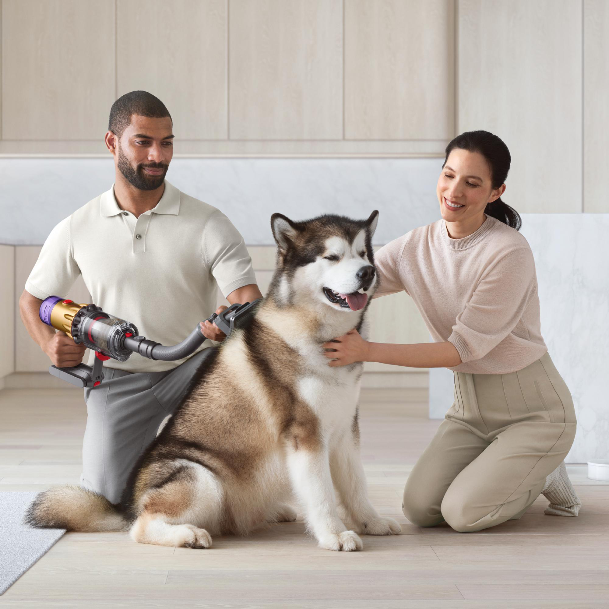 Zwei Personen pflegen einen großen Hund mit einem Staubsauger. Weißer Hintergrund, Küchenumgebung.