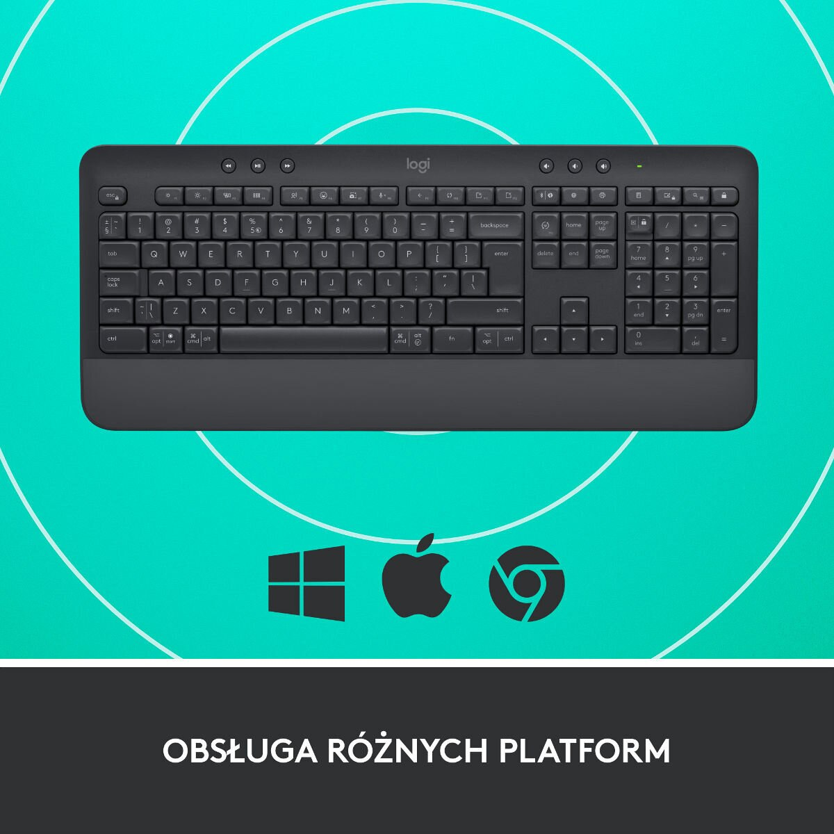 Szara klawiatura Logitech z opisanymi klawiszami, logo Windows, Apple i Chrome.