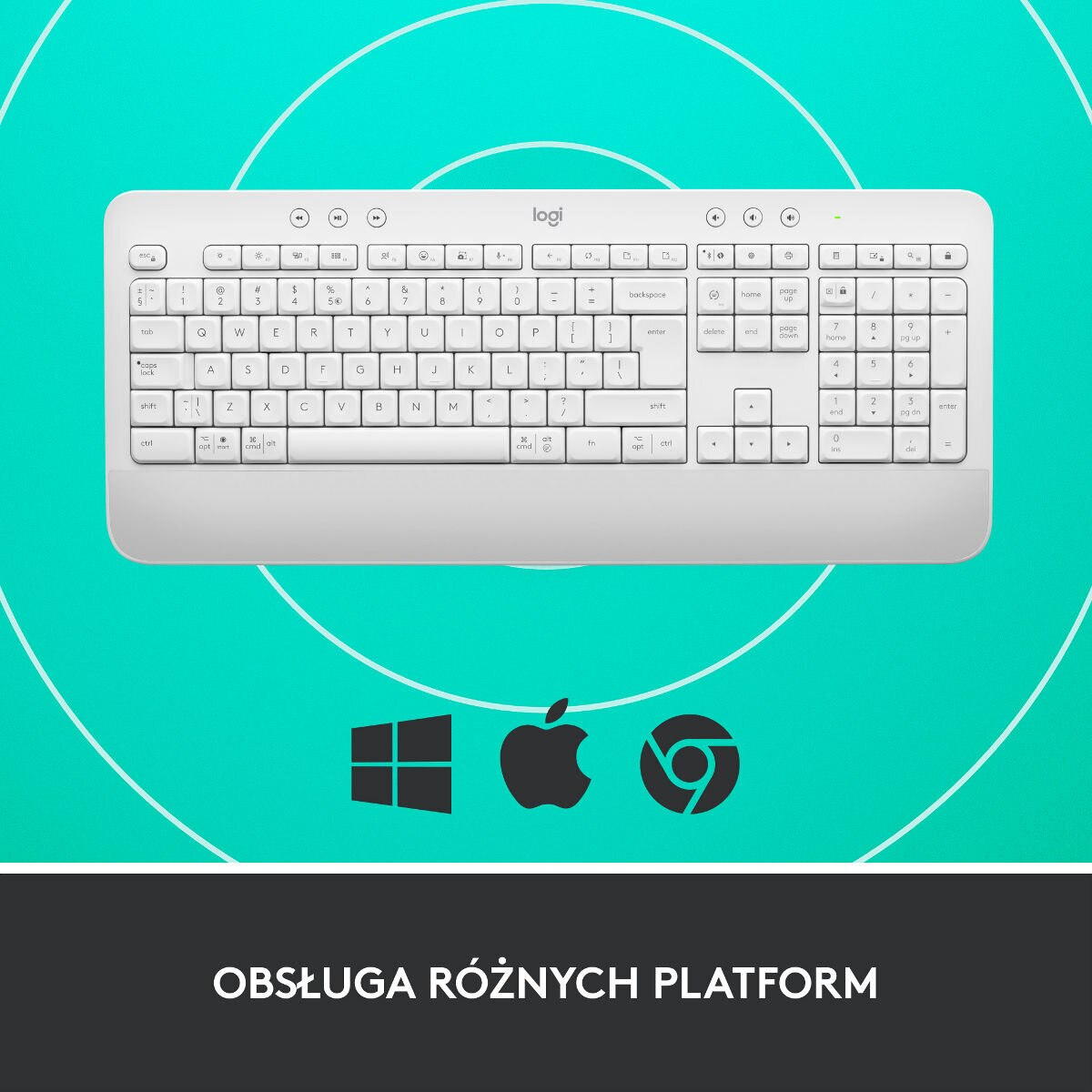 Biała klawiatura z czarnymi symbolami. Ikony Windows, Apple i Chrome. Zielone tło.