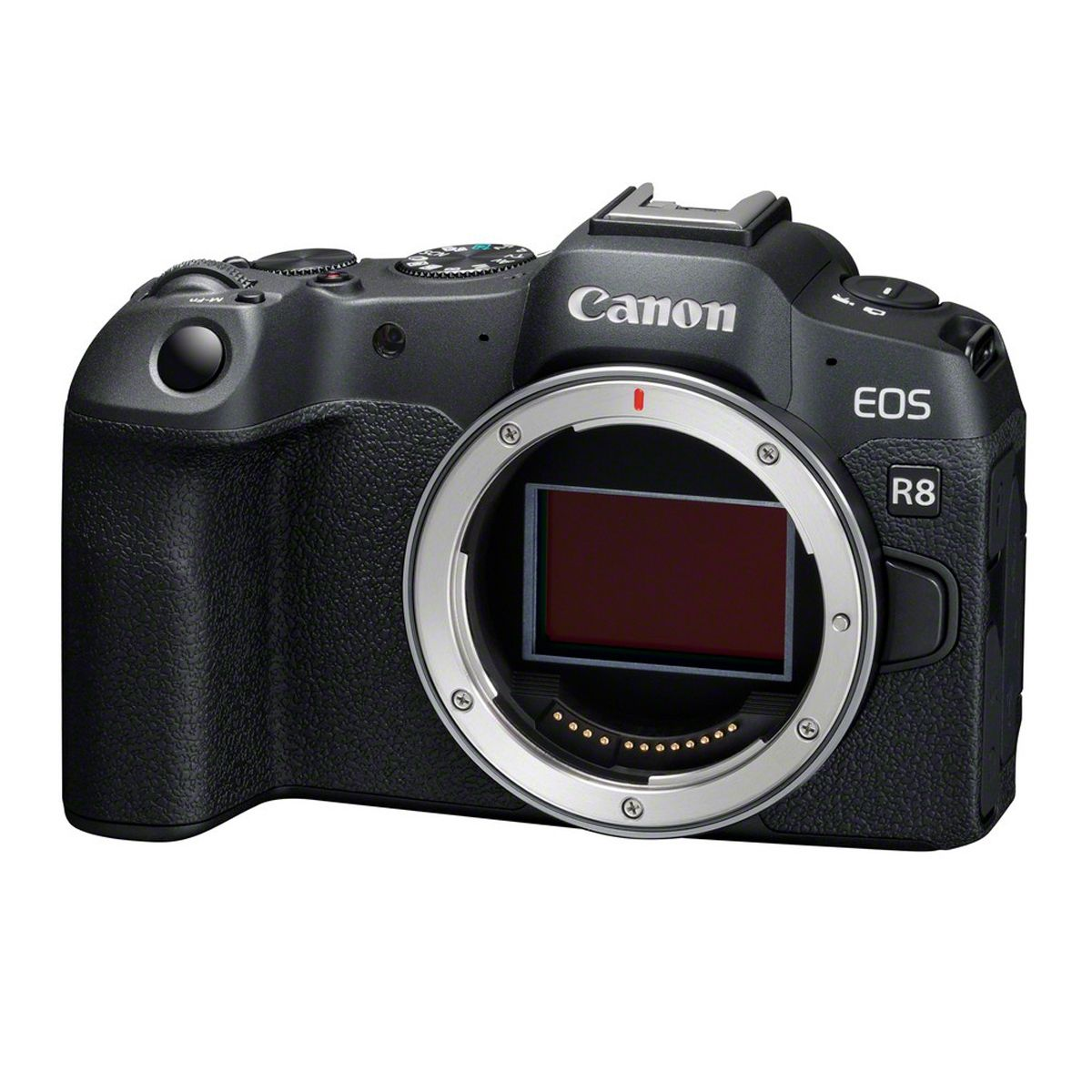 Cámara Canon EOS R8 negra con lente, vista lateral, fondo blanco.