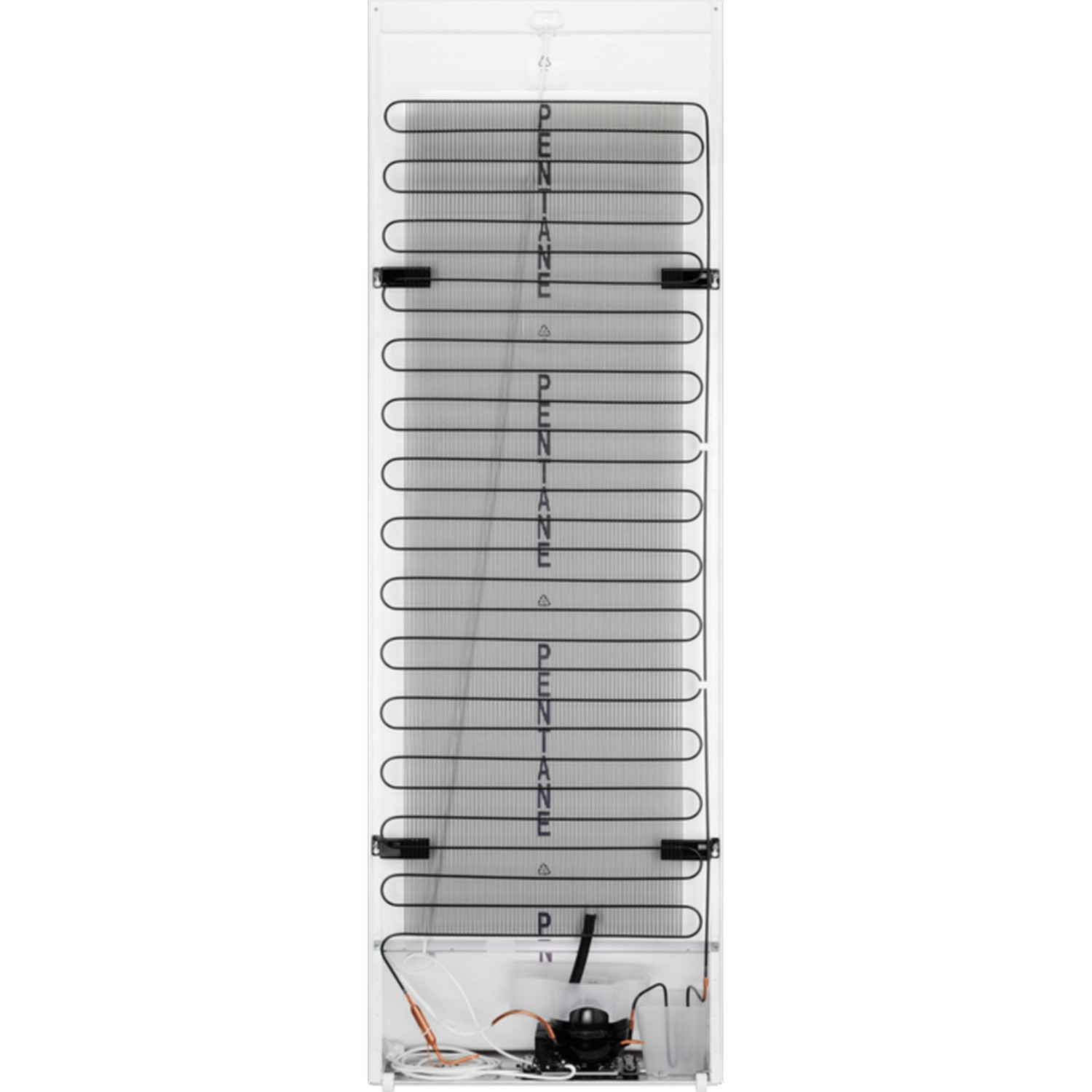 AEG Frigo armoire E (RKB539E1DX)