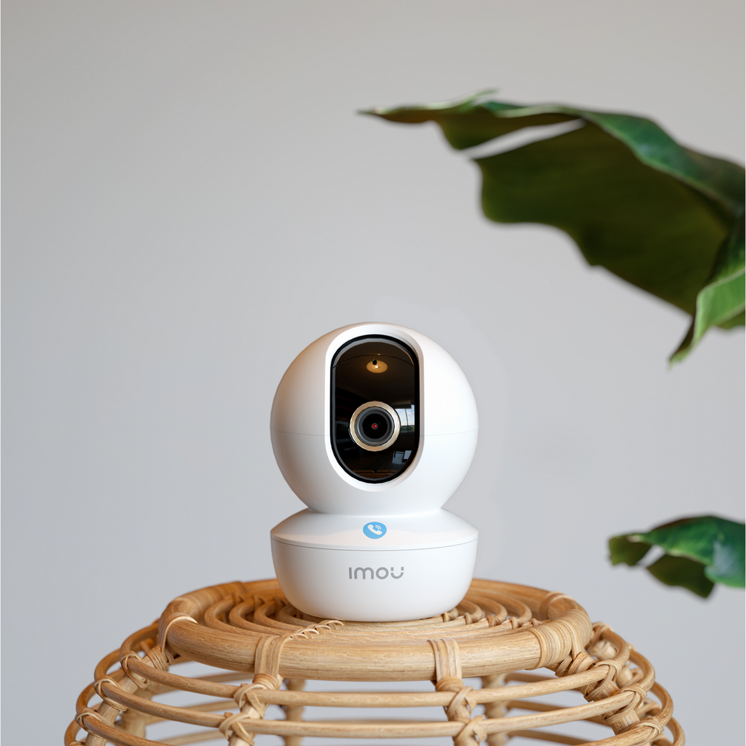 White security camera on a woven stand, with green plant in background.