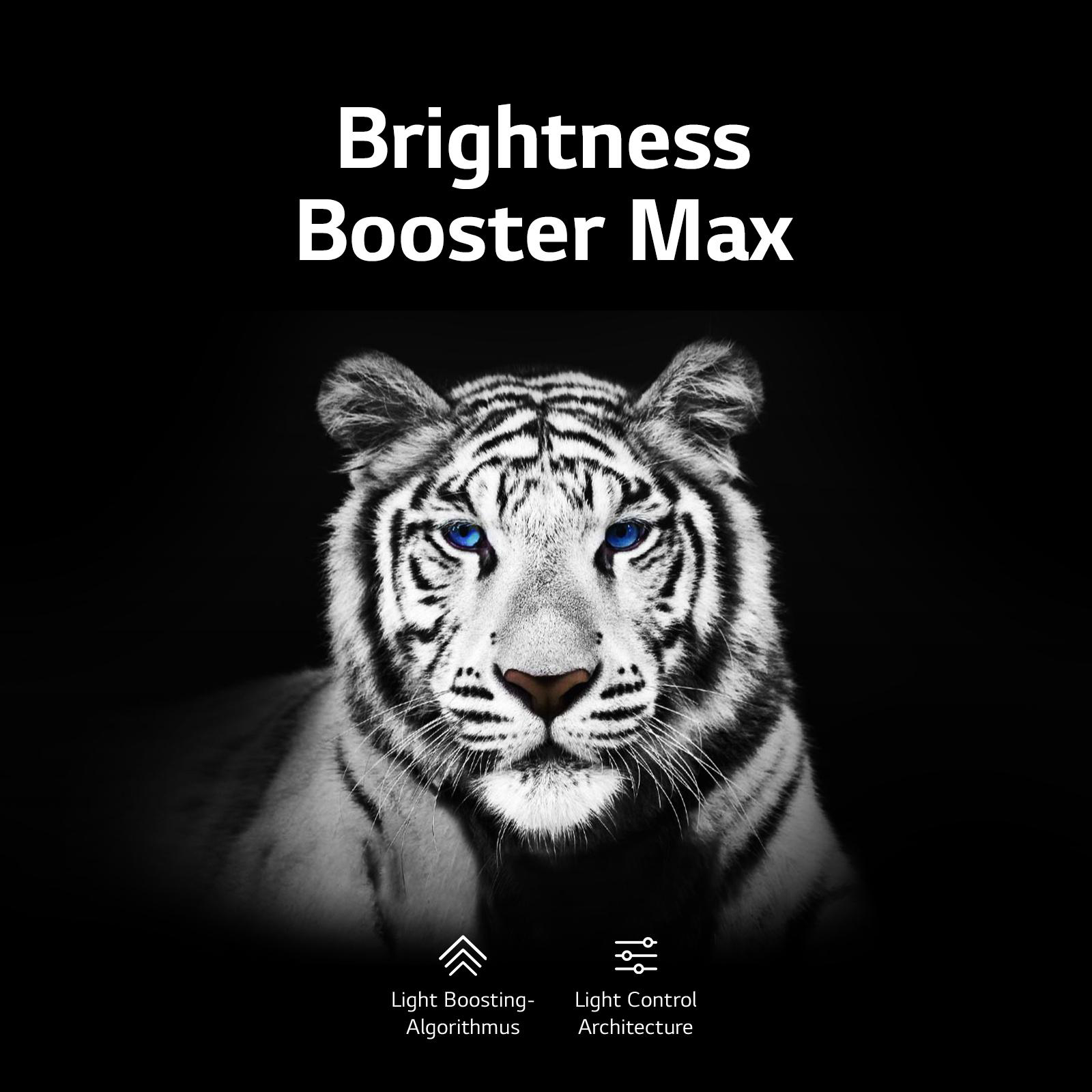 Ein Tiger mit hellblauen Augen vor schwarzem Hintergrund, mit Text: Brightness Booster Max.