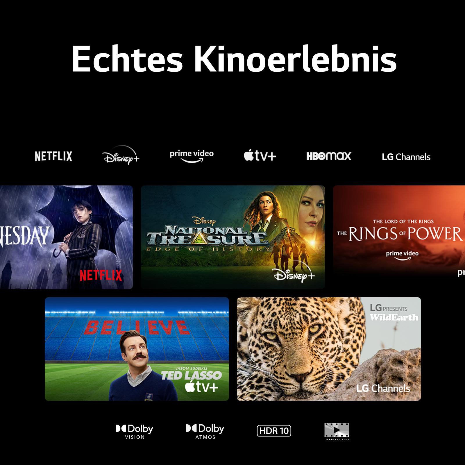 Logos von Streaming-Diensten: Netflix, Disney+, Prime Video, Apple TV+, HBO Max, LG Channels.