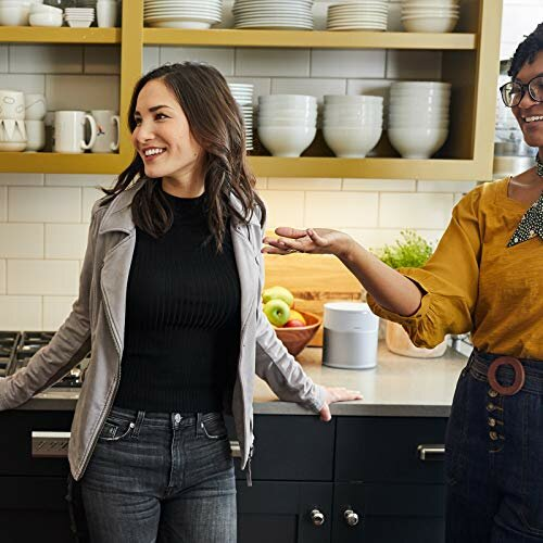 Głośnik sieciowy BOSE Home Speaker 300 Srebrny