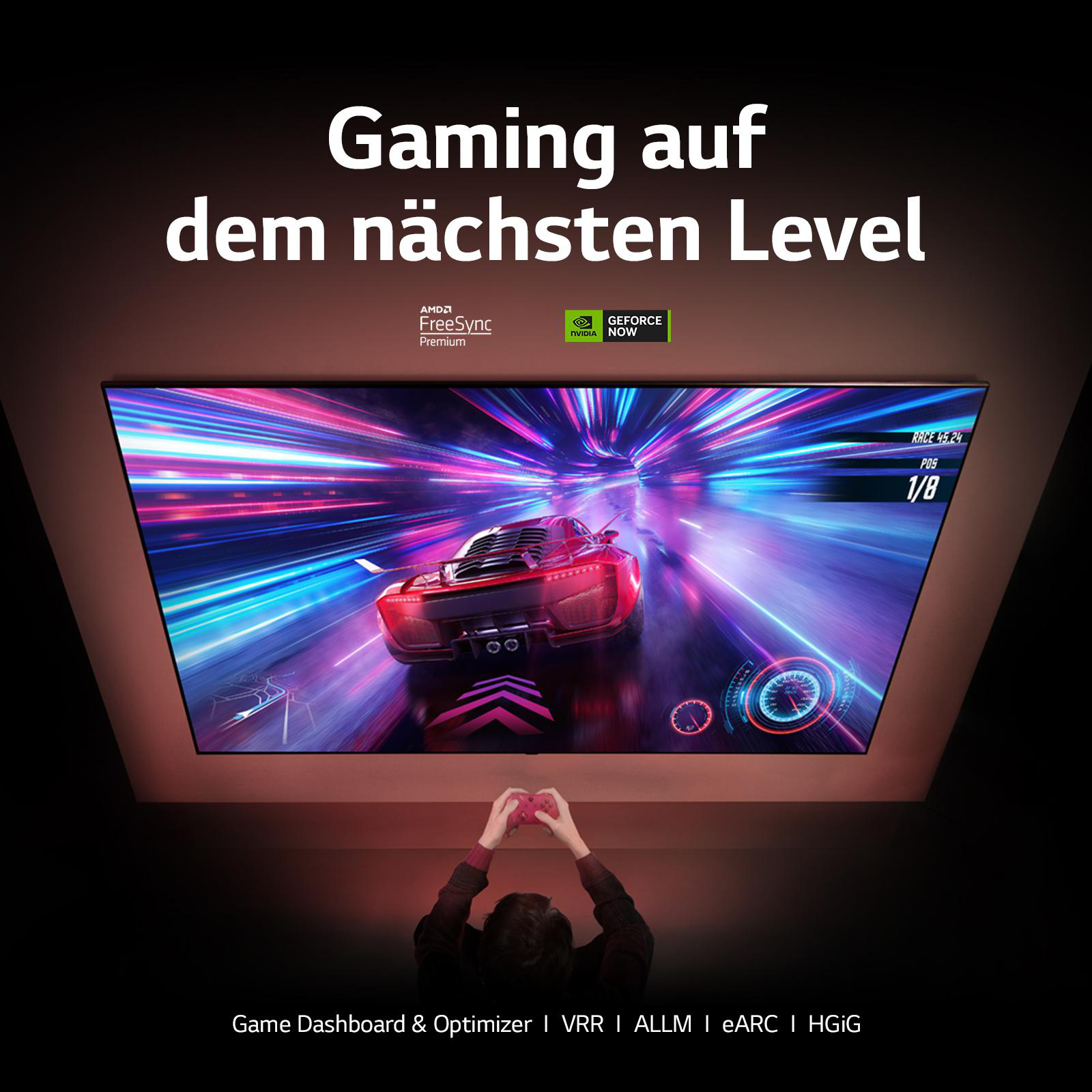 LG 55QNED866RE QNED TV (Flat, 55 Zoll / 139 cm, UHD 4K, SMART TV, webOS 23 mit LG ThinQ)