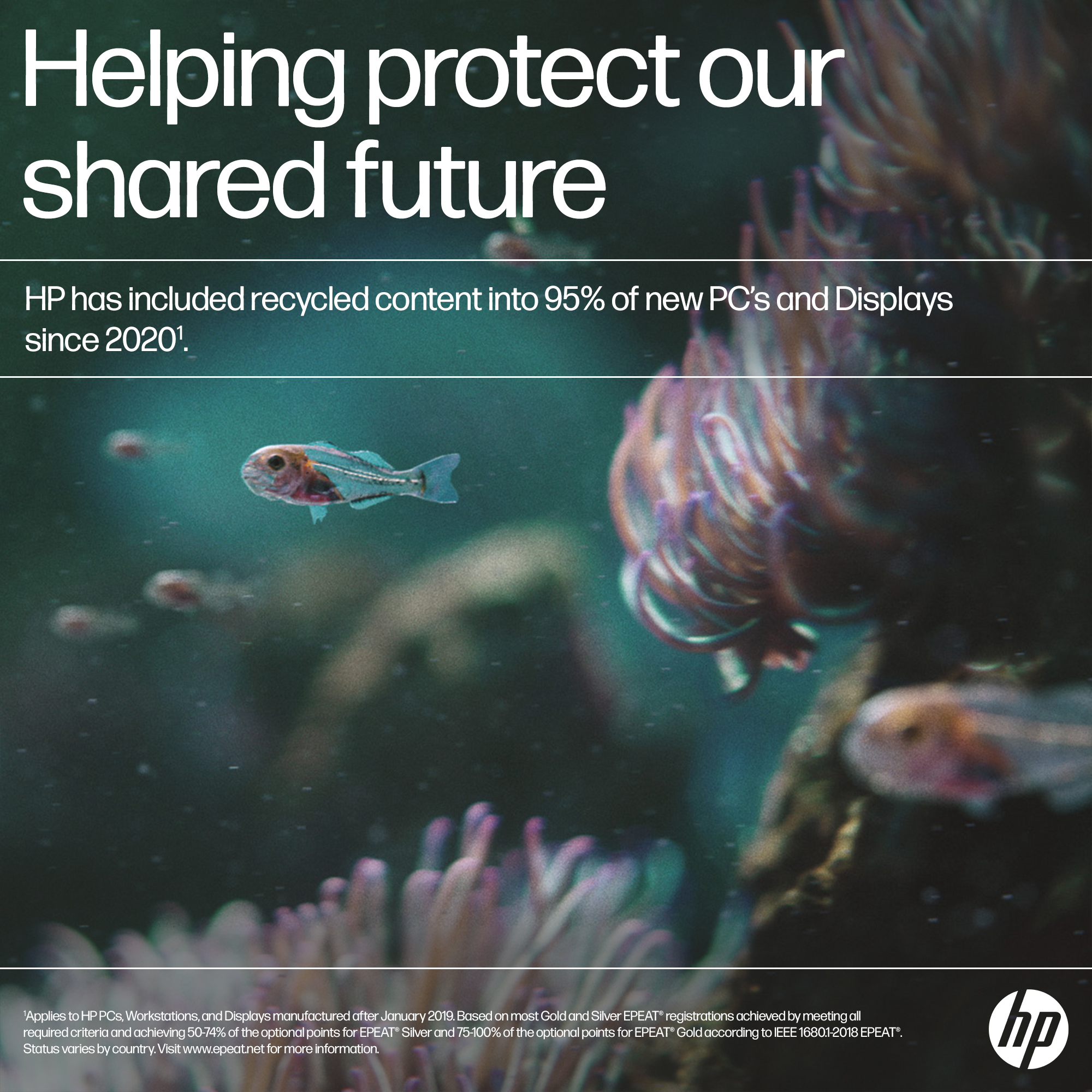 Imagen que promueve el reciclaje. Peces nadando cerca del coral. Texto: 'Ayudando a proteger nuestro futuro compartido'.
