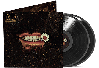 Hozier - Unreal Unearth (Vinyl LP (nagylemez))