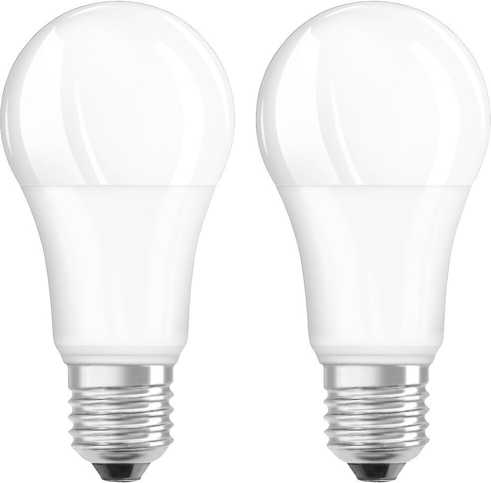 Dwie białe żarówki z metalowymi podstawami.