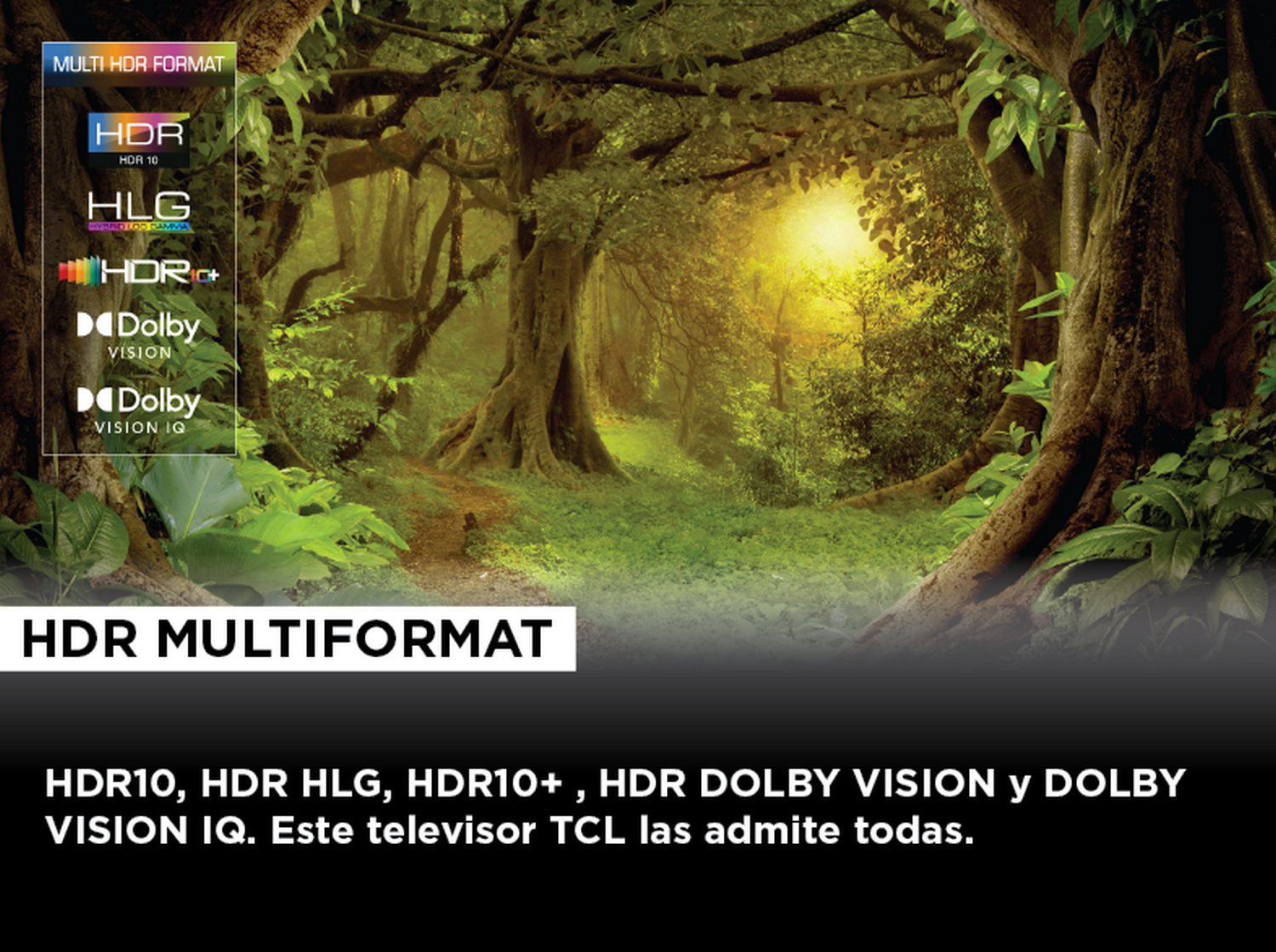 Una escena de la selva con texto sobre formatos HDR. HDR10, HLG, HDR10+, HDR Dolby Vision y Dolby Vision IQ.