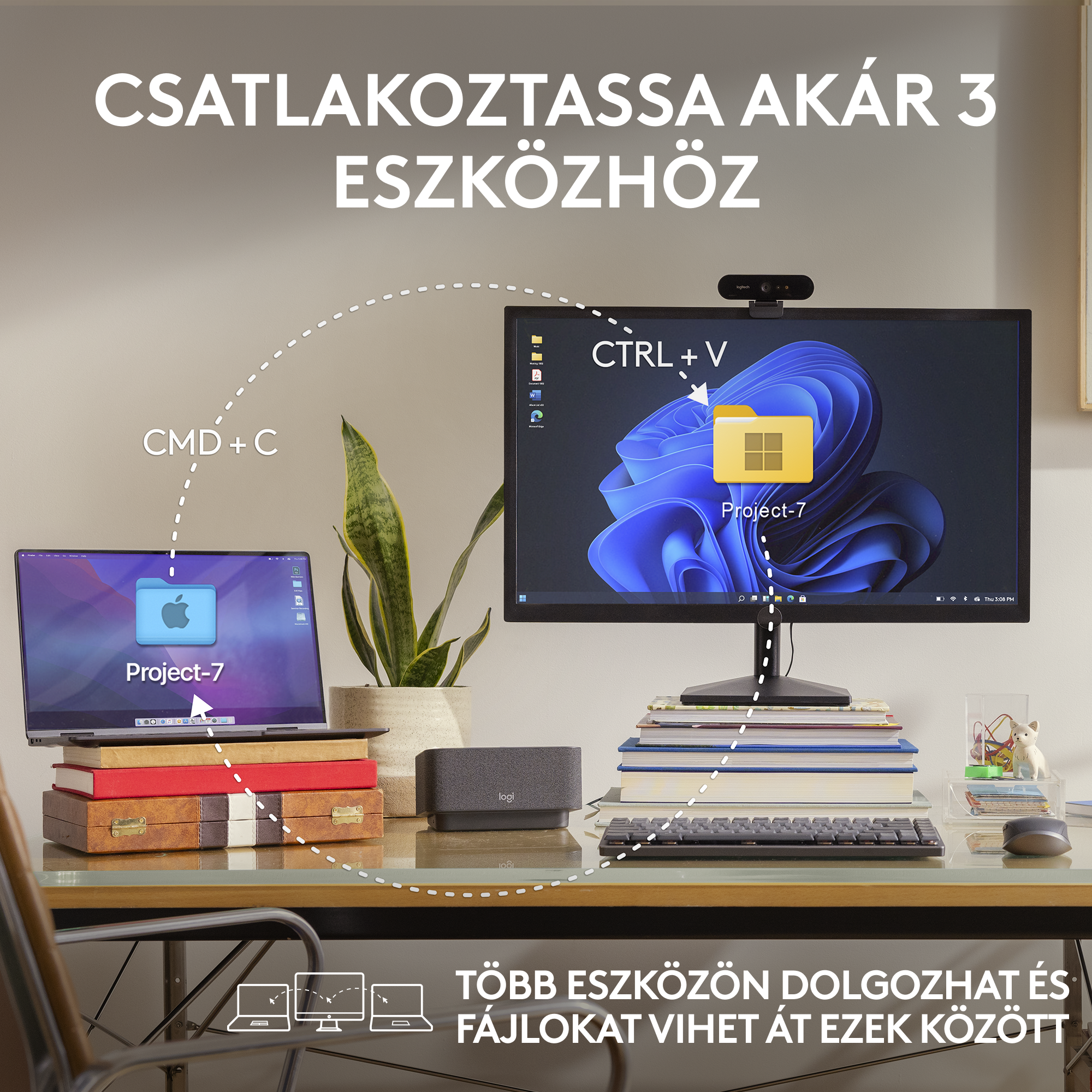 Asztal laptop, monitor, billentyűzet és növénnyel. Több eszköz használata.