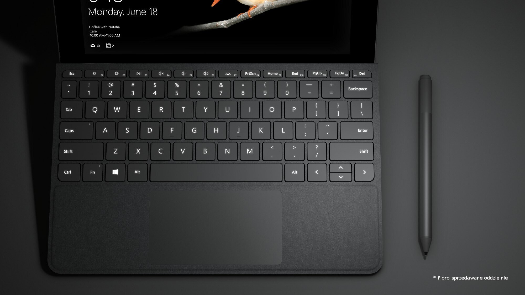 Klawiatura MICROSOFT Surface Go Signature Type Cover Platynowy KCS-00013