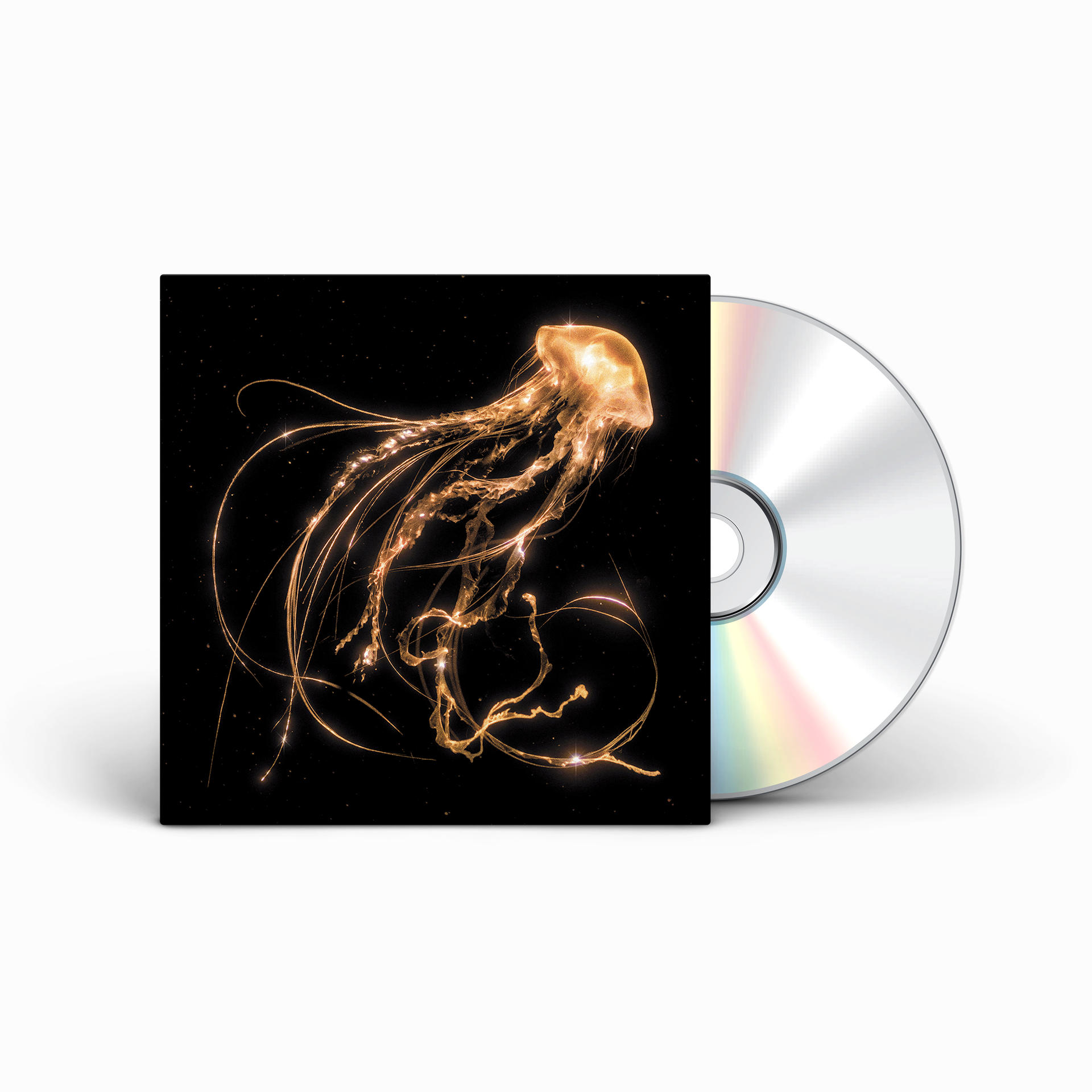 Eine CD-Hülle mit einem Quallen-Design neben einer CD. Die Qualle leuchtet mit schwarzem Hintergrund.