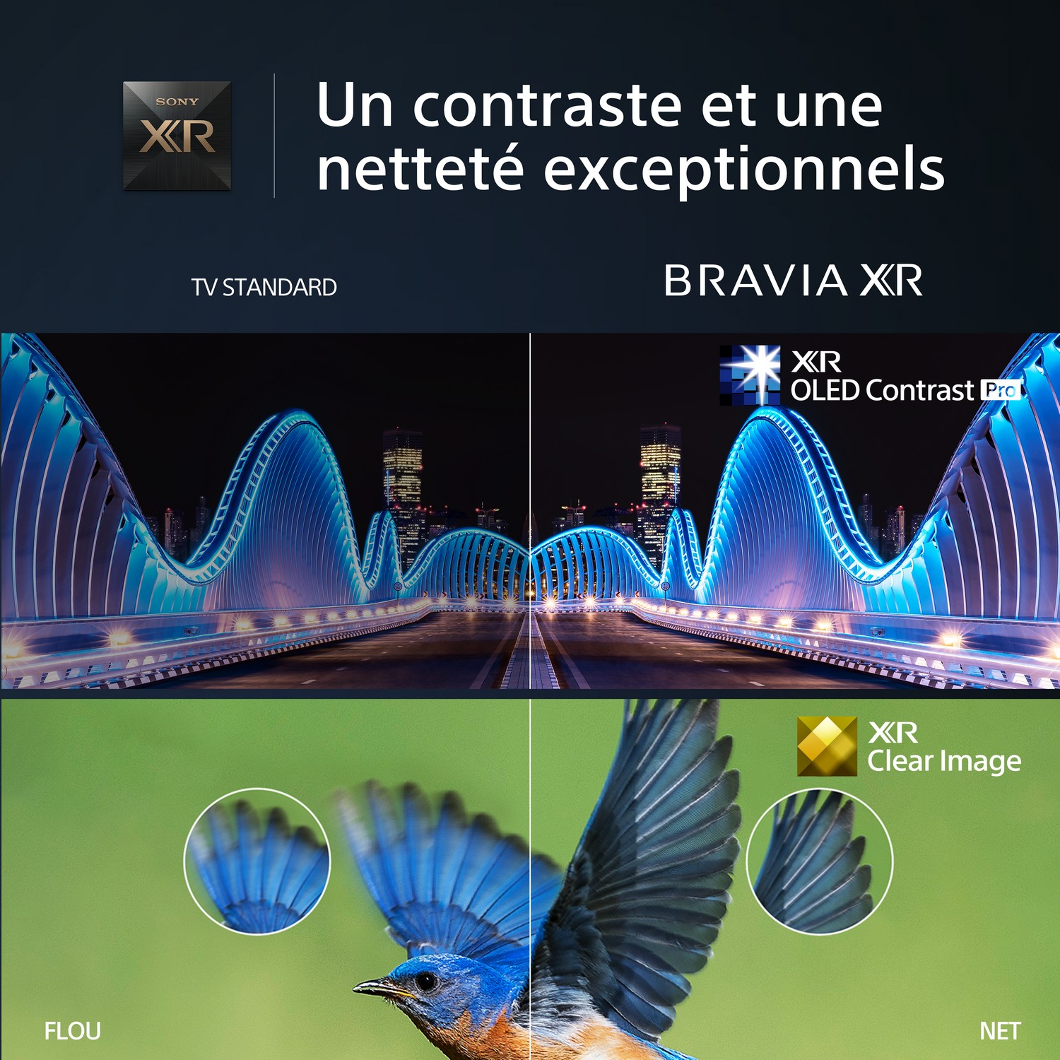 Écran TV montrant une scène de pont, divisée, floue à gauche, nette à droite. Logo Sony Bravia XR.