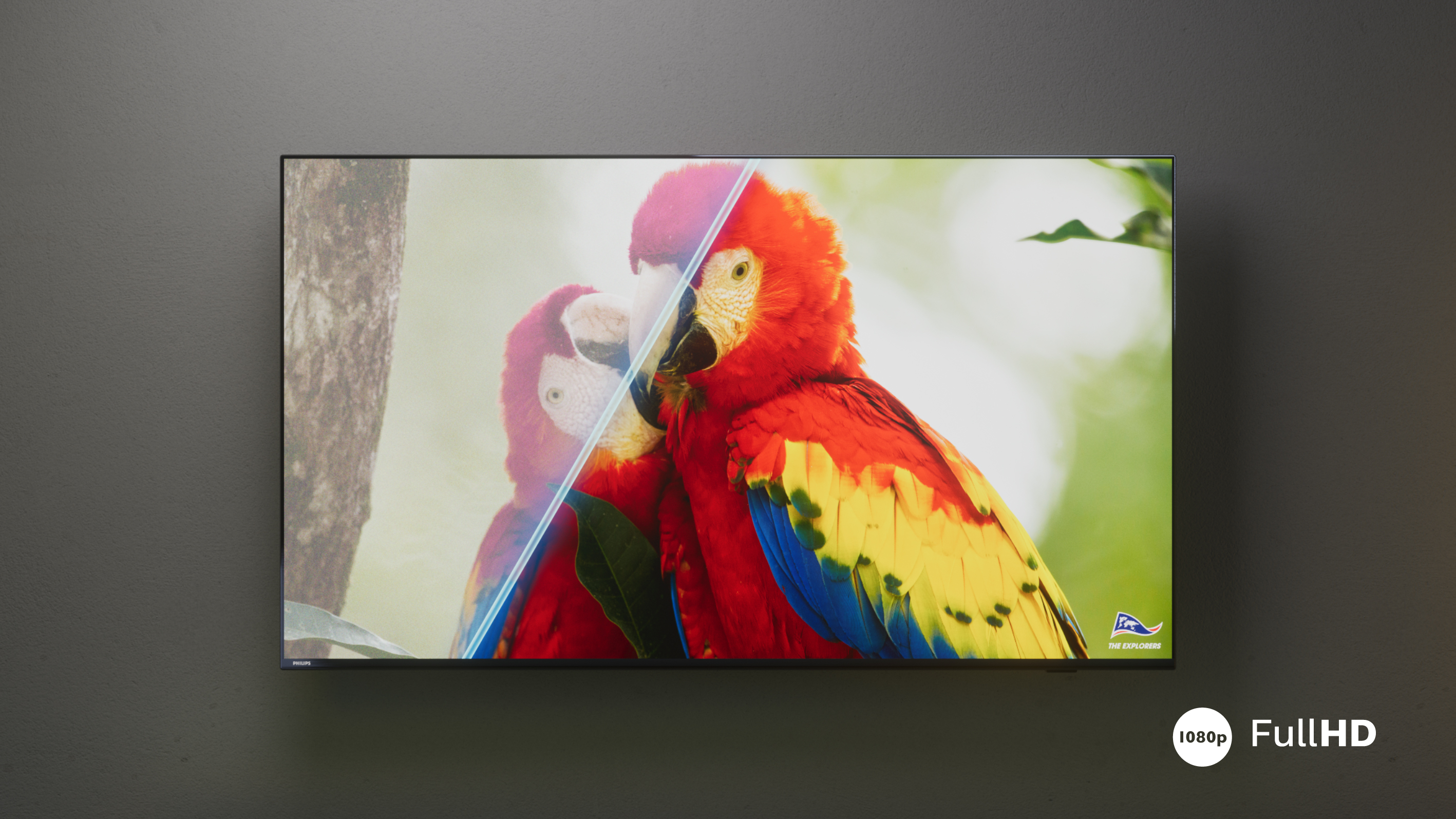 Papağanları gösteren düz ekran TV. Köşede Full HD logosu.