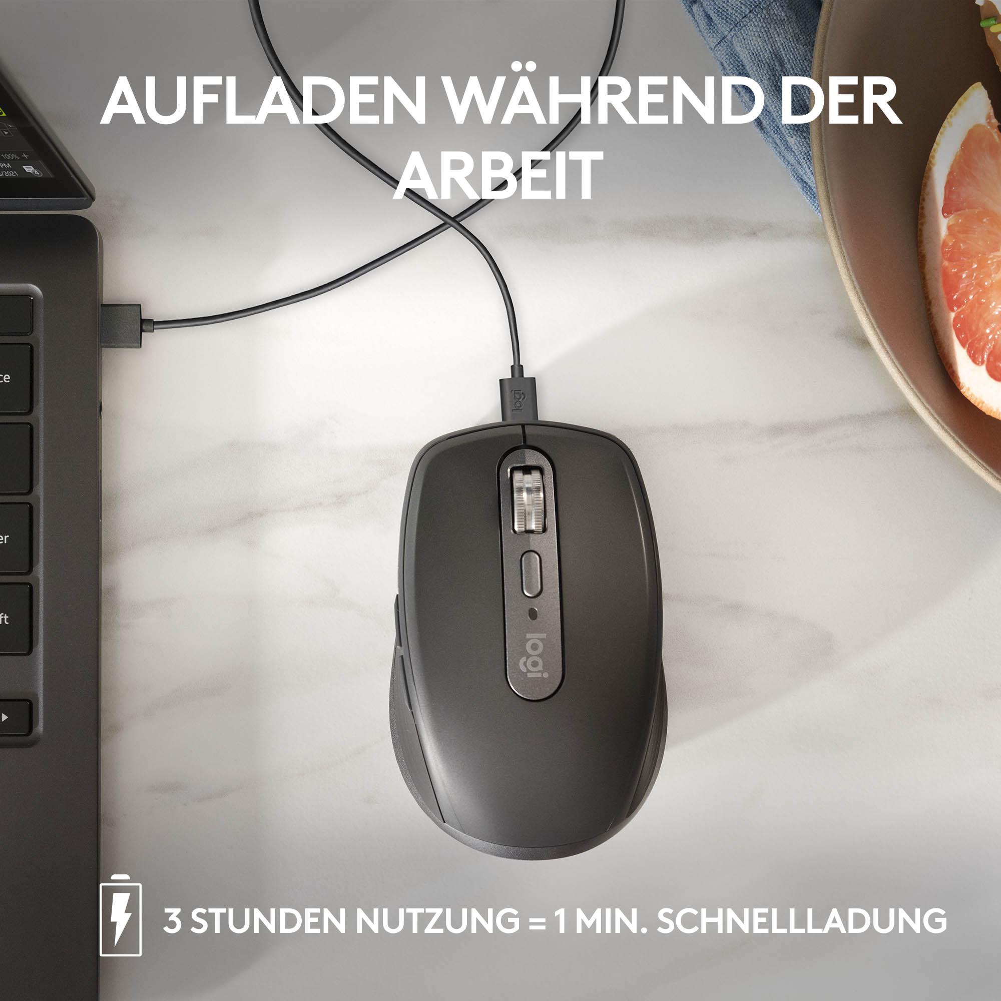 Eine schwarze Maus, die an einem Laptop geladen wird, mit Grapefruit und Text.