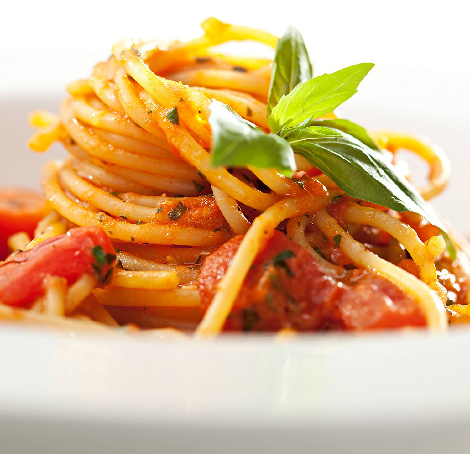 Primo piano di spaghetti con salsa di pomodoro, basilico e pomodori in un piatto bianco.