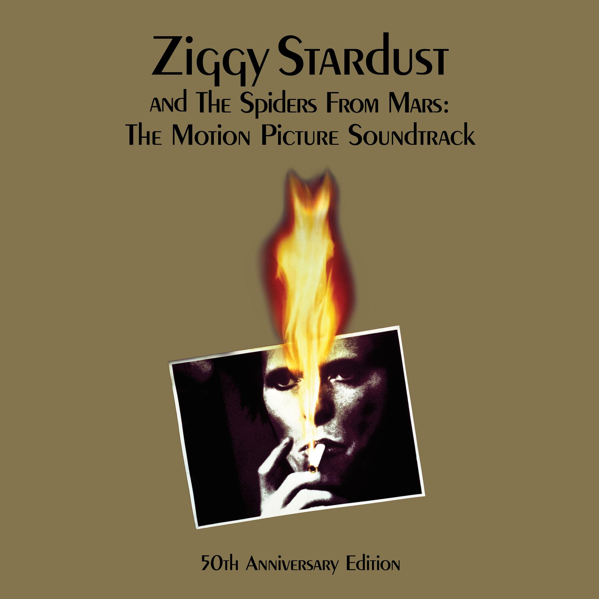 David Bowie From (Vinyl) Mars: - Stardust The Spiders - Ziggy and